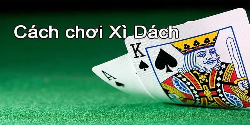 Hướng Dẫn Chơi Bài Xì Dách Đơn Giản, Nắm Vững Trong 5 Phút